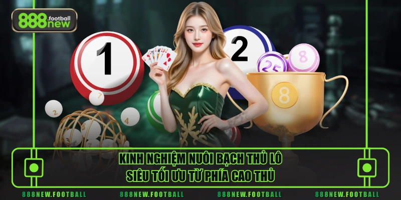 Bạch Thủ Lô Là Gì - Bí Quyết Chọn Và Nuôi Chuẩn Xác Nhất 2026 3 Kinh nghiệm nuôi bạch thủ lô siêu tối ưu từ phía cao thủ
